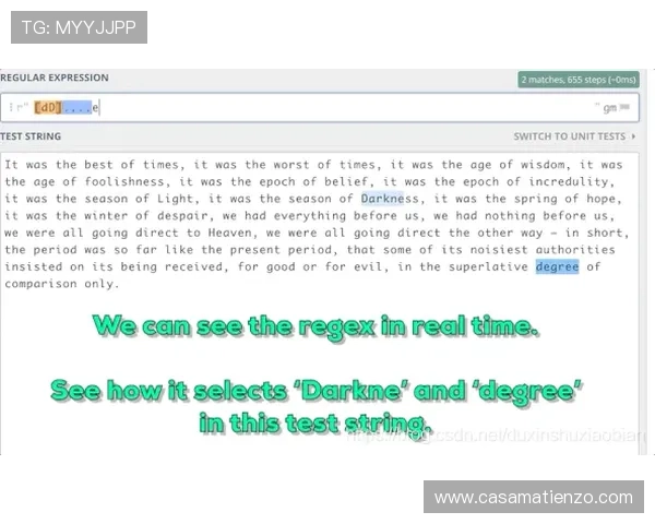 Z6D88用现的多功能应用场景及操作指南详解