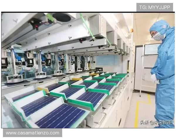 Z6网址娱乐未来发展趋势与创新方向深度探讨