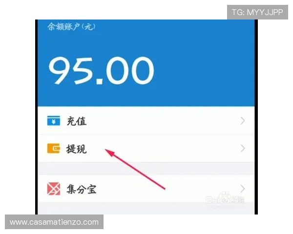 凯时官网手机版支持多种支付方式，充值提现更加便捷安全