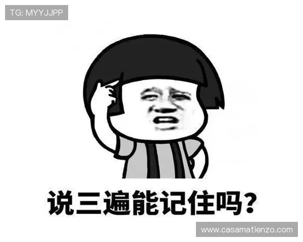 尊龙会官网会员登录网址查询安全注意事项及防诈骗指南