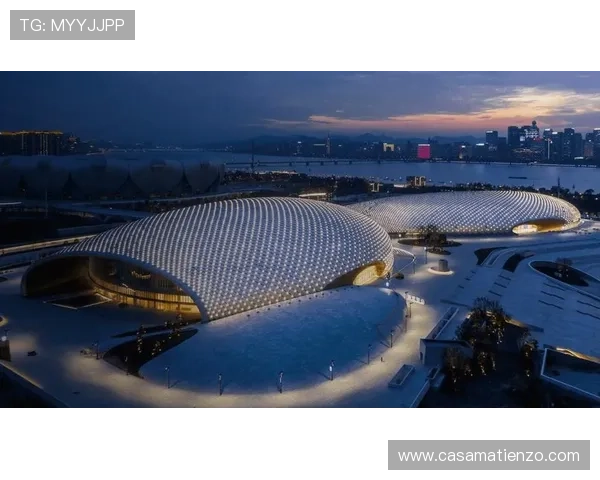 尊龙中国官网入口：官方入口的功能介绍与用户体验提升方案