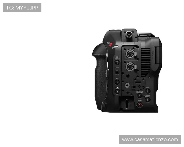 如何快速访问Z6尊龙网站登录入口确保账号安全与顺畅体验