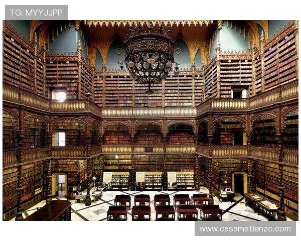 尊龙z6.com在线登录账号注册流程详解新手玩家快速注册与登录的完整步骤